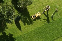 established relocatable gardening business - 3