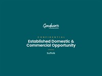 domestic commercial cleaning business - 1