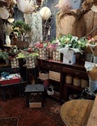 popular florist devon - 2