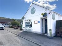 cult café - 1