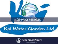 koi carp business henley - 1