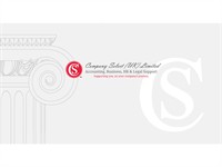 well established management consultancy - 1