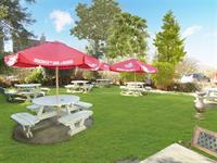 premium village pub restaurant - 3