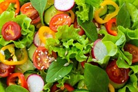 provider of healthy meals - 1