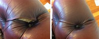 lucrative mobile upholstery sofa - 2