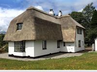 well established thatched roofing - 1
