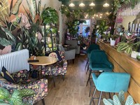 licenced cafe bar plants - 1