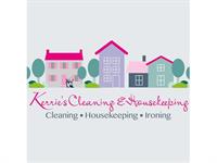 well established cleaning business - 1
