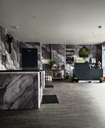 dog grooming parlour - 2