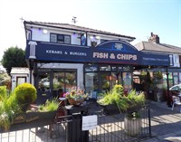 iconic detached high-turnover fish - 1
