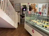 artisan ice cream makers - 1