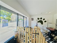 dog groomers - 3