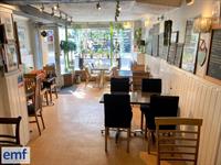 daytime coffee shop café - 2