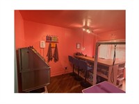 pampered pets paradise thriving - 2