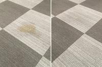 relocatable carpet upholstery cleaning - 3