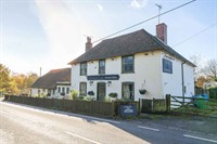 freehold pub with land - 3