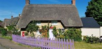 quaint tearoom - 2