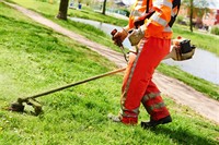 landscaping maintenance business - 3