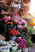 greengrocer florist groceries deli - 2