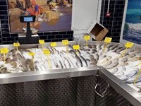 seafood frozen fish cold - 1