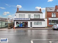 freehold asian fish chip - 1