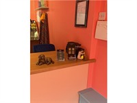 pampered pets paradise thriving - 3