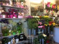 beautifully presented florist business - 1