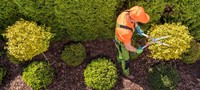 specialist garden maintenance landscaping - 1