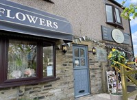 bloom into business established - 1