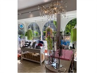 premier ladies clothing accessories - 2