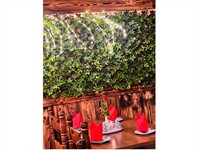 well established profitable restaurant - 2