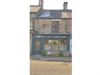 profitable thriving fish chip - 1
