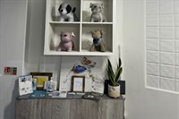 dog grooming salon dorset - 2