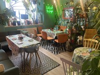licenced cafe bar plants - 2