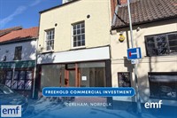 freehold commercial investment - 1