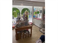 premier ladies clothing accessories - 3