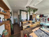 dog groomers - 3