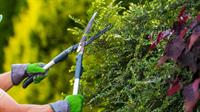 profitable gardening landscaping business - 2