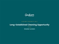 thriving window cleaning business - 1
