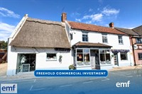 freehold commercial investment - 1