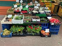 busy greengrocer business with - 2