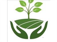 newly established garden maintenance - 1