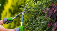 profitable gardening landscaping business - 2