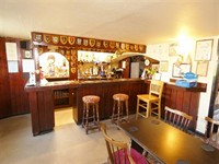 traditional village pub large - 2