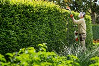 established relocatable gardening business - 2