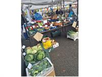 fresh opportunity thriving fruit - 3