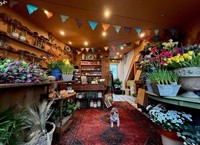 popular florist devon - 1