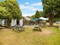 hampshire village inn pub - 3