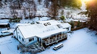 jaggy thistle food stop - 2