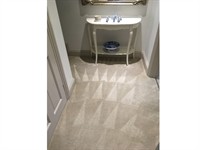 profitable domestic commercial cleaning - 2